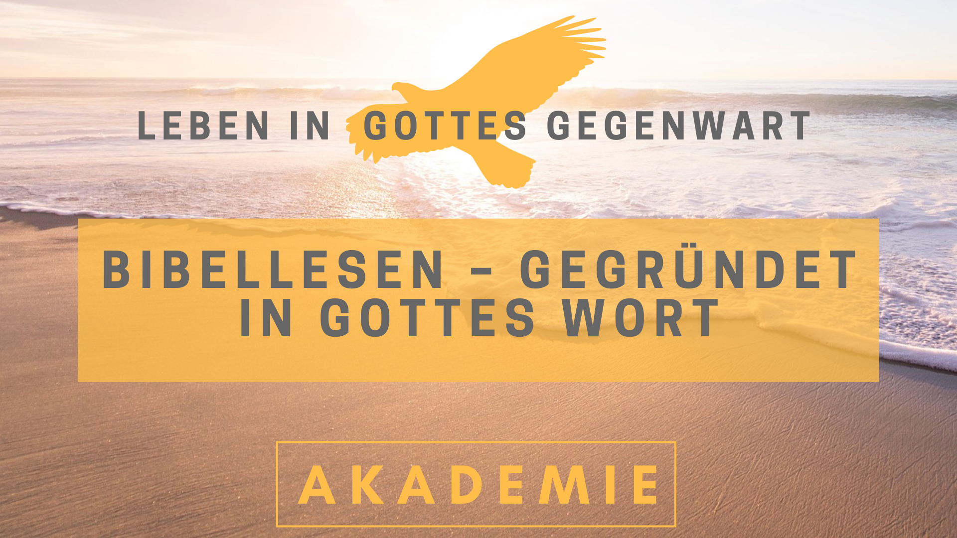 04 Bibellesen – Gegründet in Gottes Wort